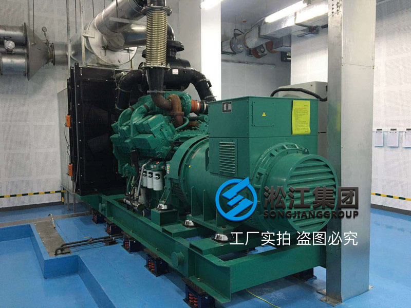 「2017」柴油发电机ZTF型弹簧减震器使用现场 【安装现场】柴油发电机弹簧减震器安装情况