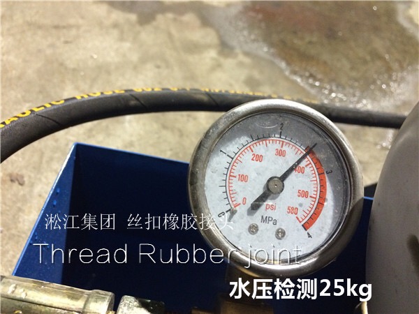 上海松江,DN25、DN32丝扣双球橡胶接头多少钱
