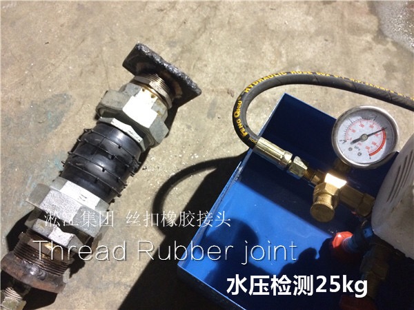 上海松江,DN25、DN32丝扣双球橡胶接头多少钱